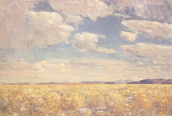 Childe Hassam Afternoon Sky,Harney Desert (mk43) china oil painting image